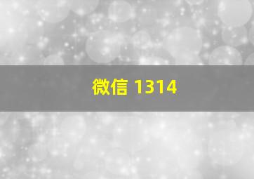 微信 1314